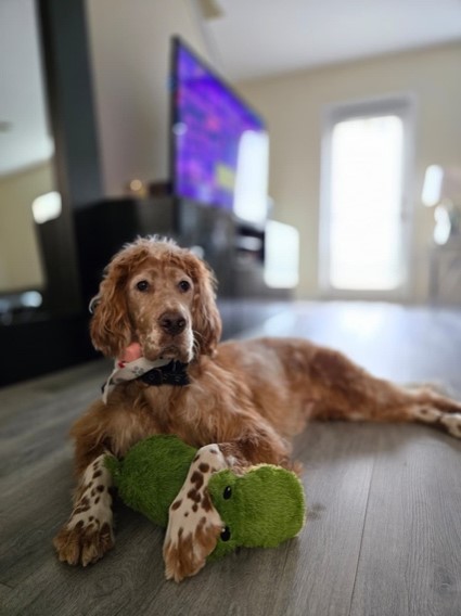 play breaks