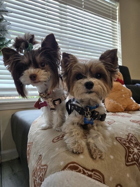 best friends