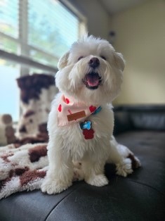 Oso's Family, happy guest